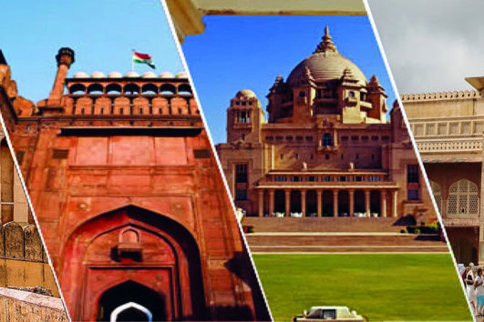 Domestic Tours