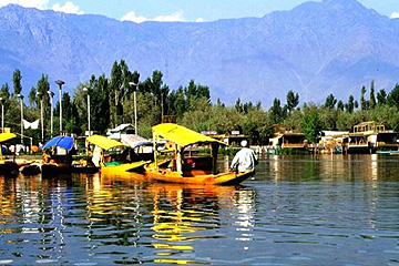 Kashmir